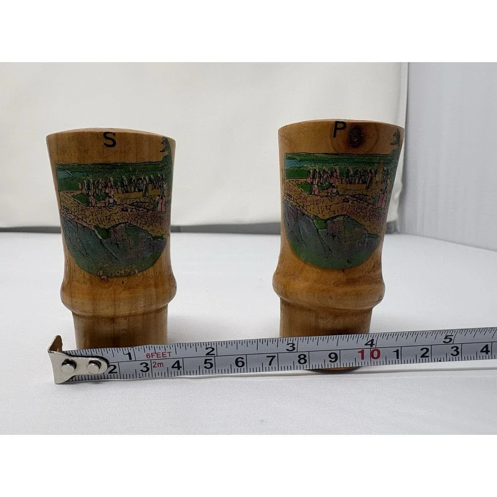 Vintage Mid Century Wooden Salt & Pepper Shakers Landscape Tourist Souvenir